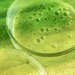 Green Bubbles  by rensala