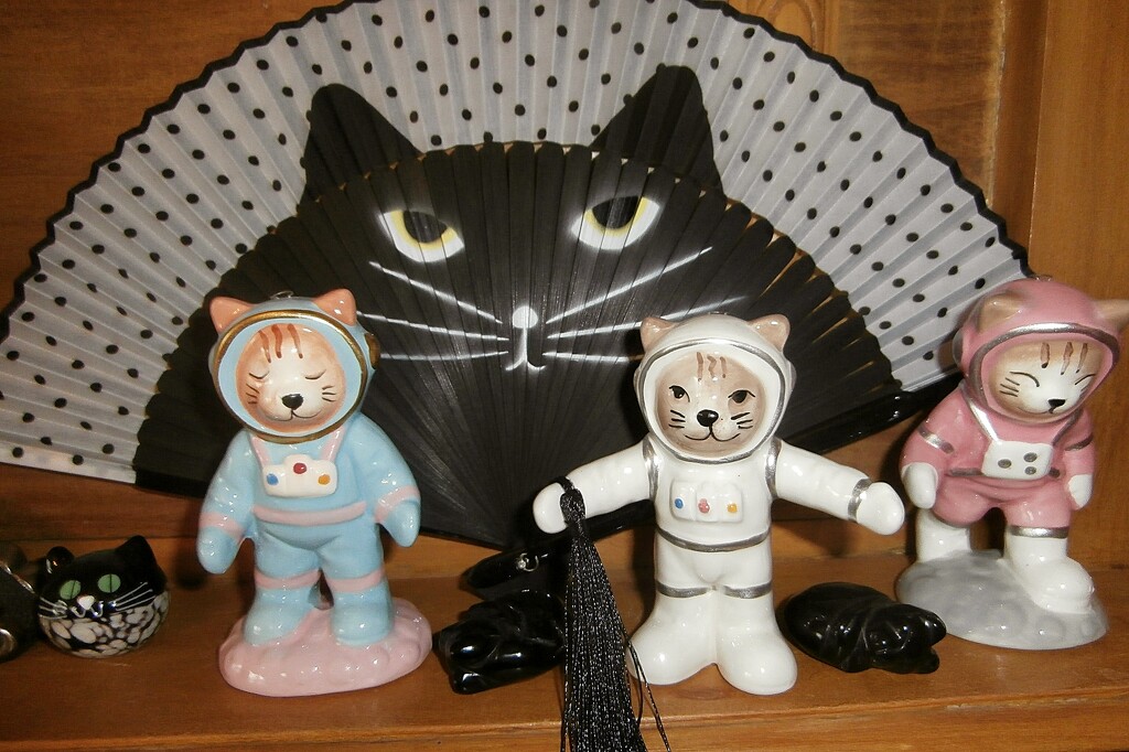 Space Kitties..... by cutekitty
