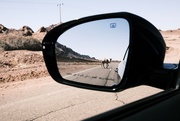 3rd Mar 2022 - Camels in the mirror may be closer than they appear