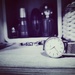 Time is an illusion by velina