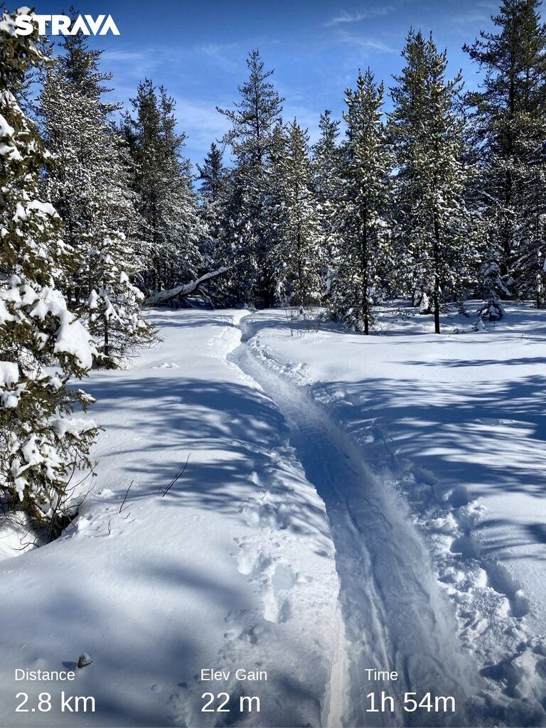 Our snowshoe trail  by radiogirl
