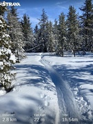 3rd Mar 2022 - Our snowshoe trail 