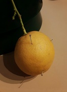 3rd Mar 2022 - Spiked lemon