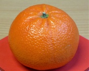 1st Mar 2022 - orange 1