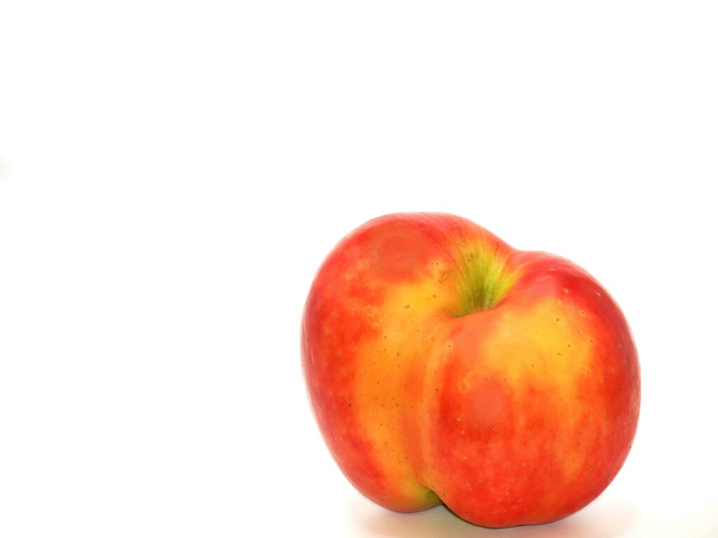 Anatomically Correct Apple by grammyn