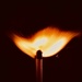 Pyrotechnics  by wakelys