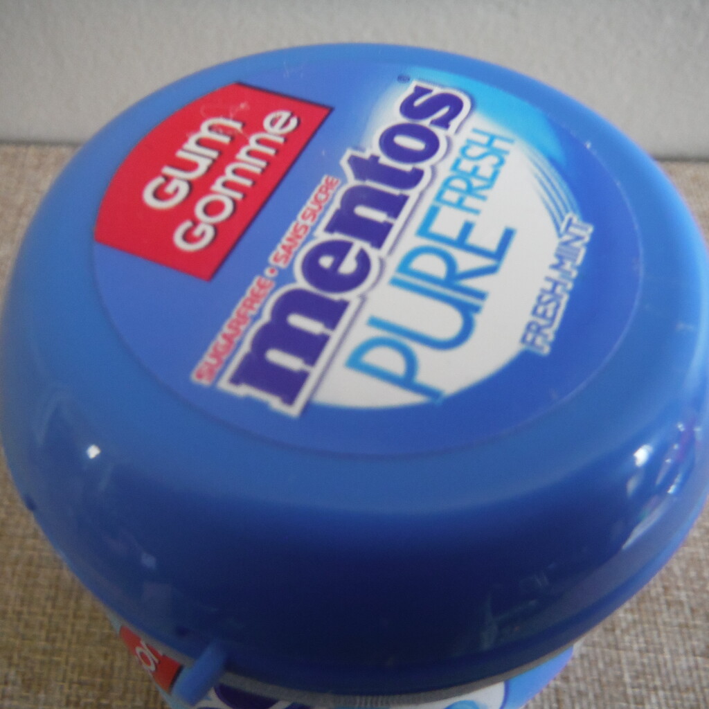 Blue Gum Container by spanishliz