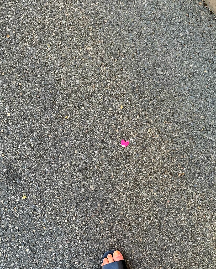 Pink tiny heart.  by cocobella