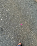 6th Mar 2022 - Pink tiny heart. 
