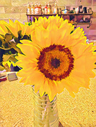 4th Mar 2022 - Sunflowers In The Coffee Shop