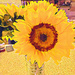 Sunflowers In The Coffee Shop by joysfocus