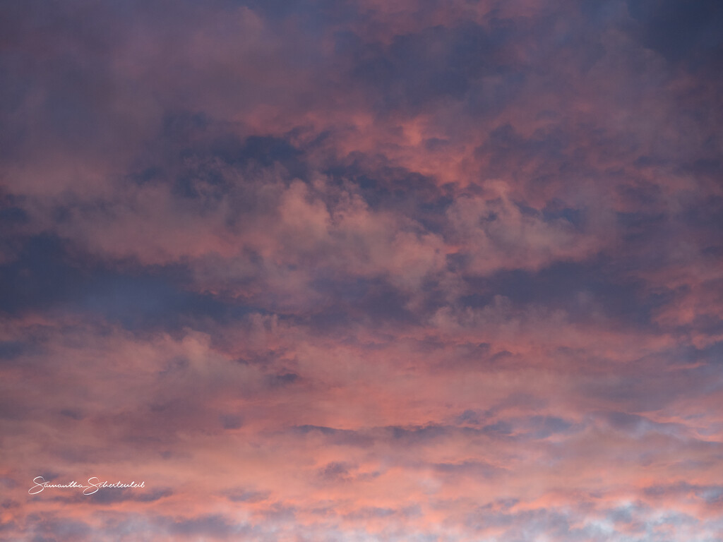 A cotton candy sky  by sschertenleib