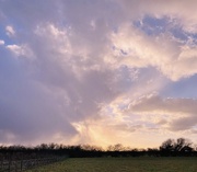 10th Feb 2022 - Sky over Upton Country Park...