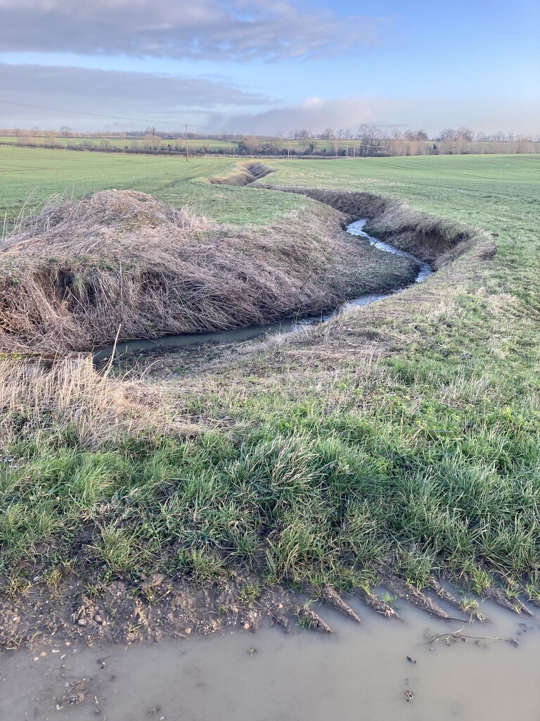 Damp ditch by sianharrison