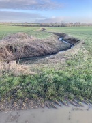 3rd Mar 2022 - Damp ditch