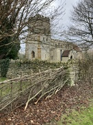 2nd Mar 2022 - Hedge laying