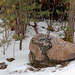 Rocks and Trees and Snow by revken70