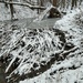 Snowy Beaver Dam. by kclaire