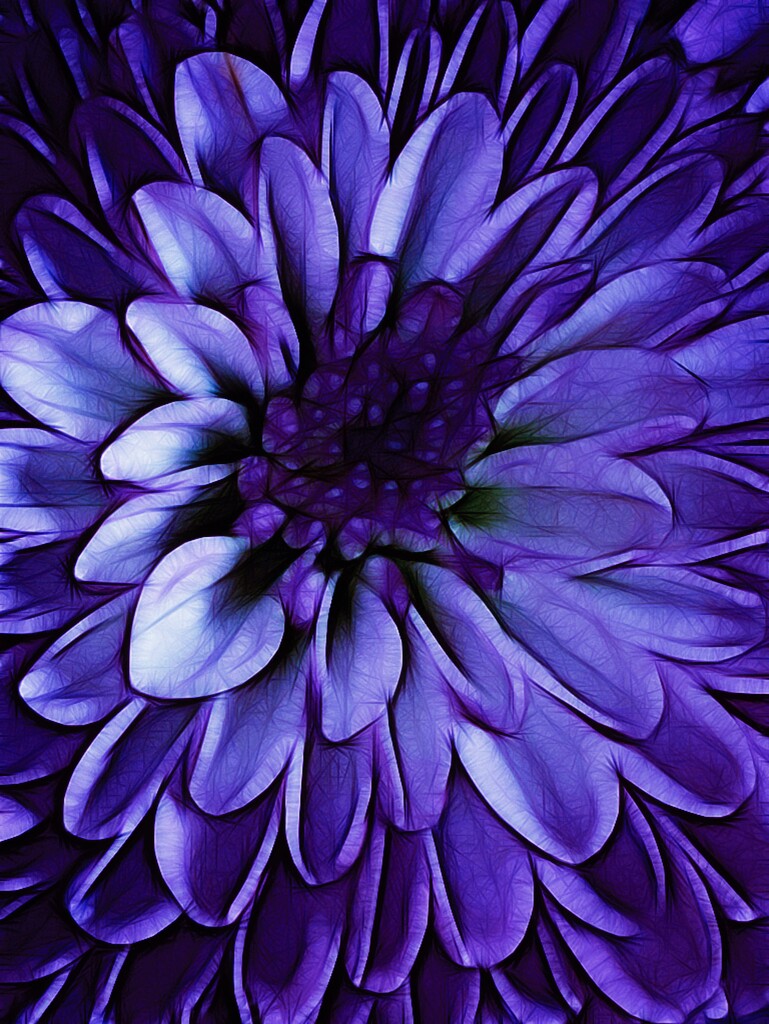 Purple by njmom3