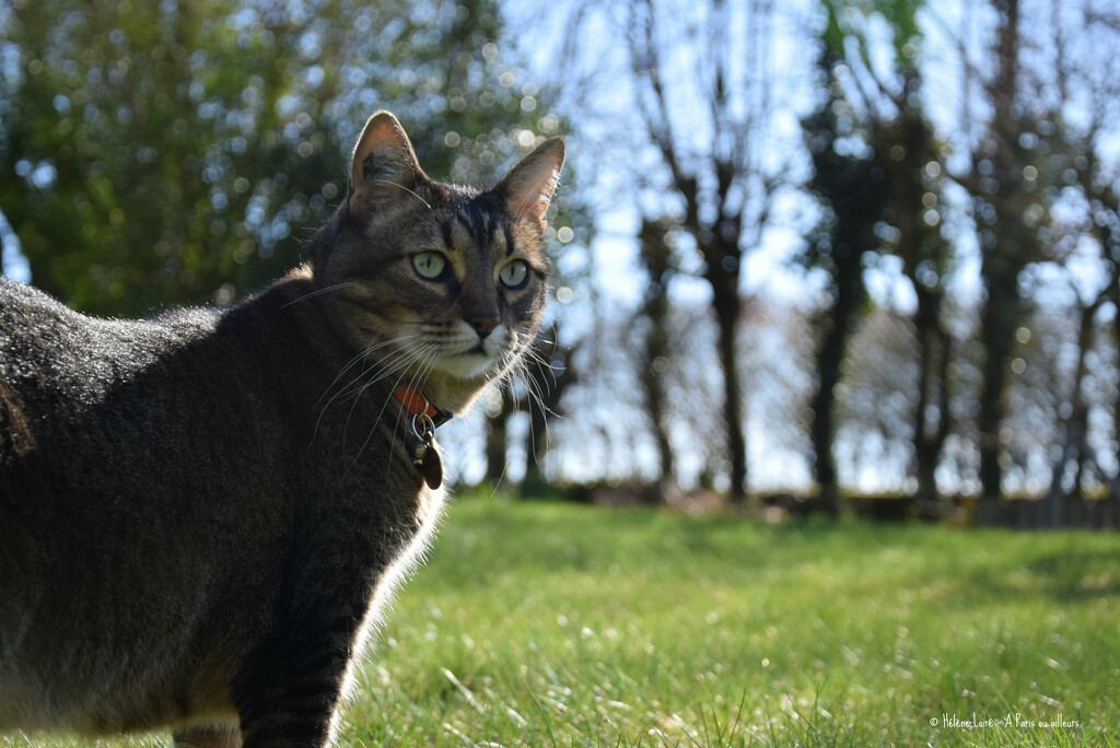 enjoying a sunny day  by parisouailleurs