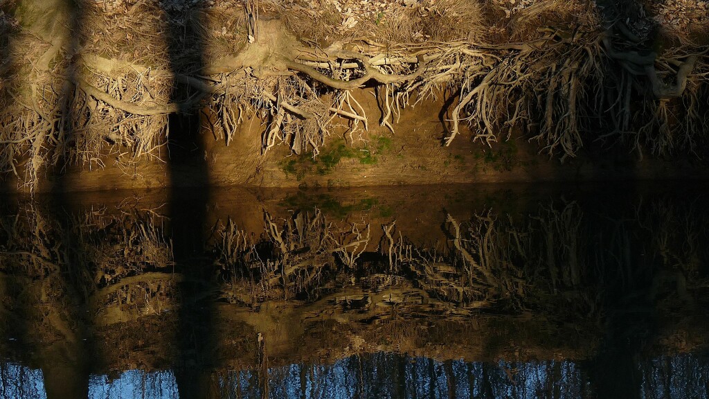 By the River: Roots and Reflections. by kclaire