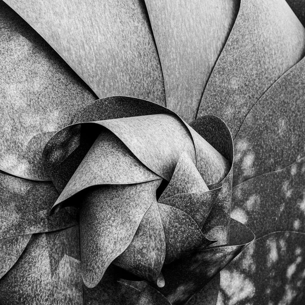 03-06 - Detail of sculpture in our front garden. by talmon