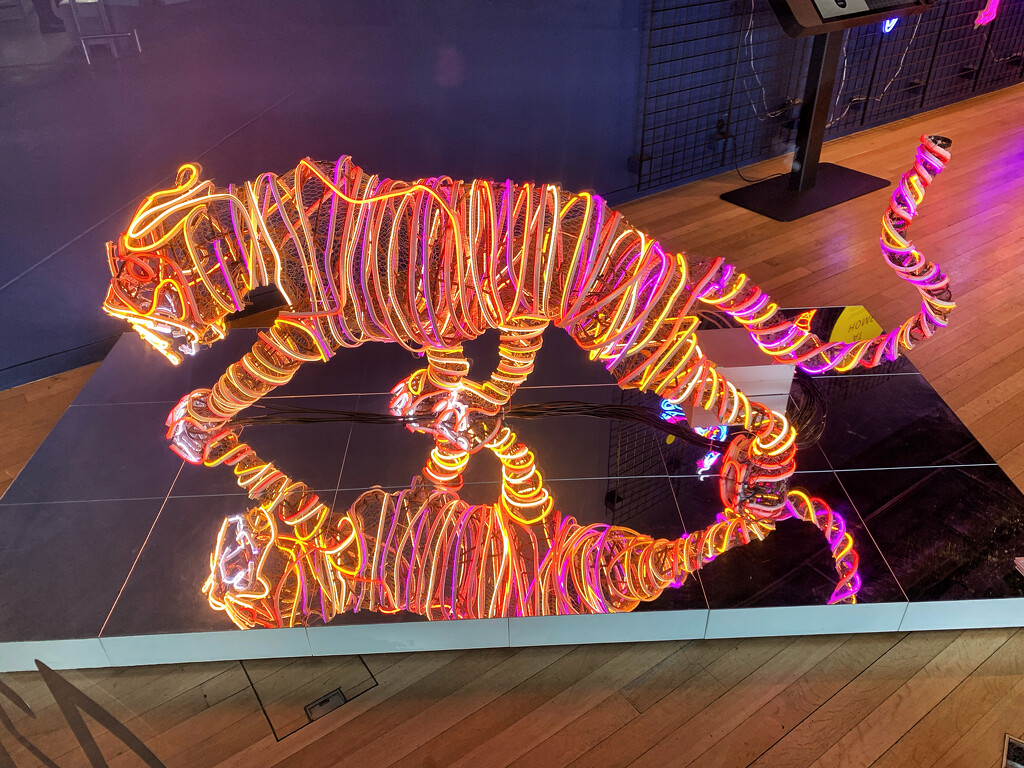 Neon tiger.  by cocobella
