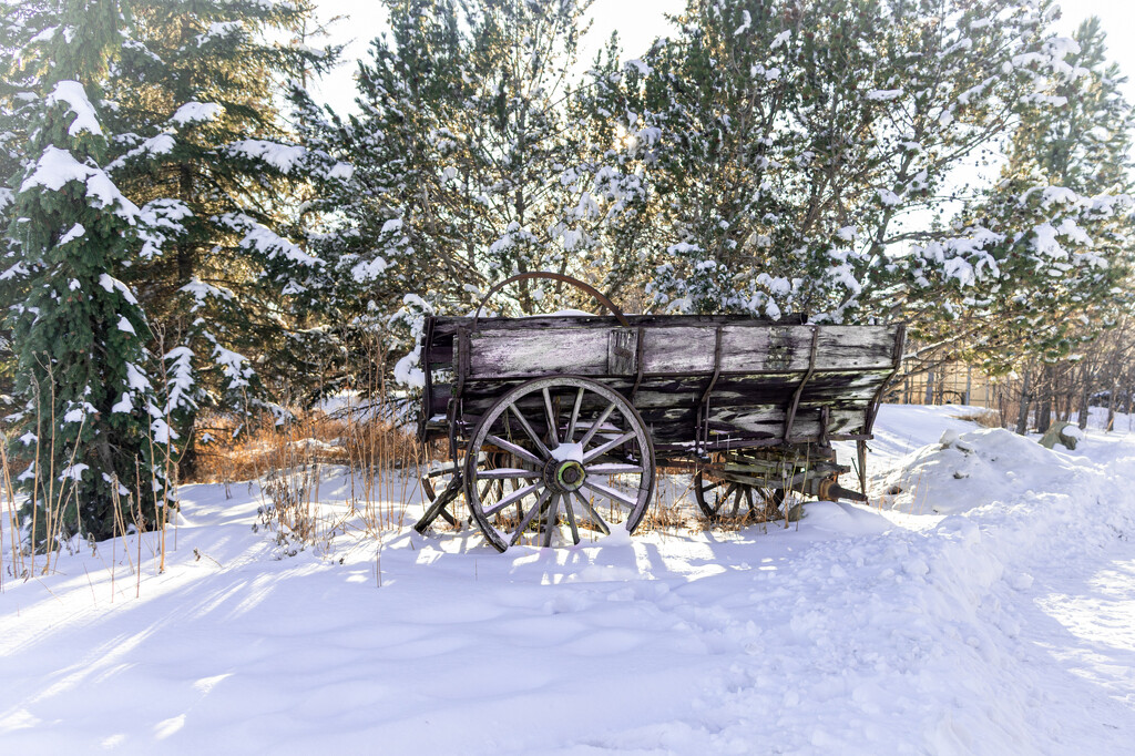 Snowbound by farmreporter