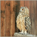 Bengal Eagle Owl by ludwigsdiana
