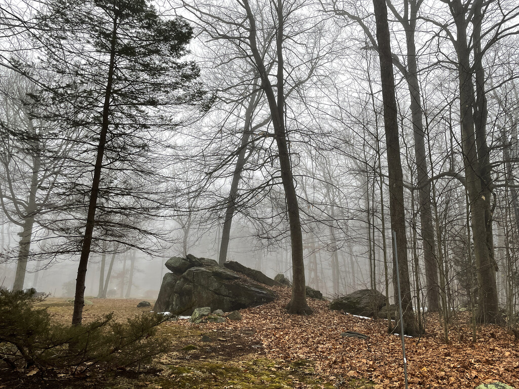 Foggy Start by mccarth1