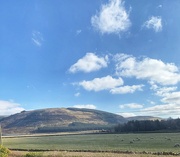 7th Mar 2022 - Down in the Scottish Borders.