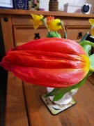 4th Mar 2022 - Sideways Tulip