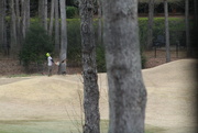 7th Mar 2022 - March 7 There is no such thing as a "good" tree on a golf course IMG_5738