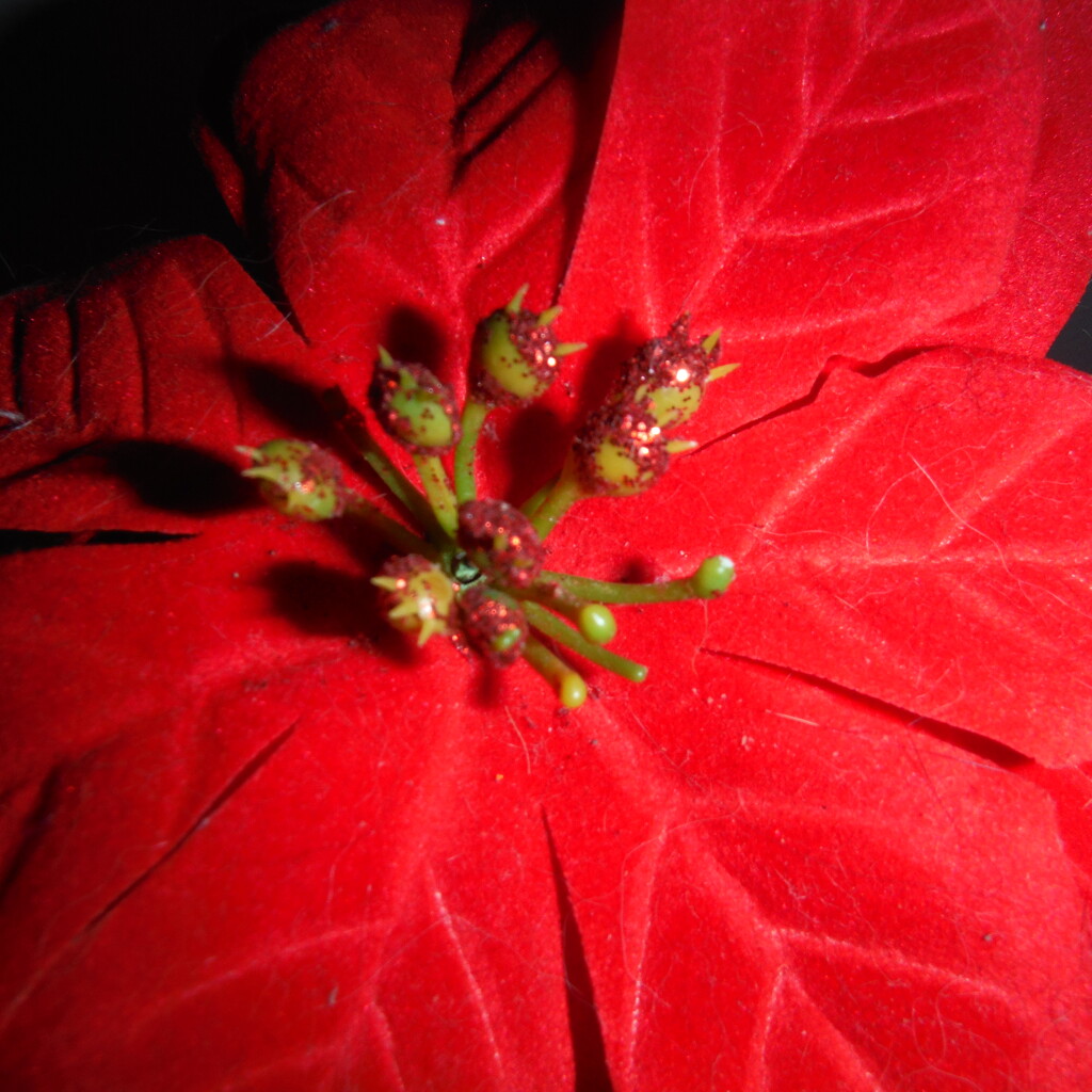 Red (Fake) Flower by spanishliz