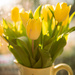 7th March - Tulips in Afternoon Light and Dirty Window by newbank