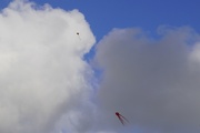 7th Mar 2022 - Let’s go fly a kite 🎵🎶