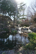 8th Mar 2022 - Another Favorite from Lewis Ginter