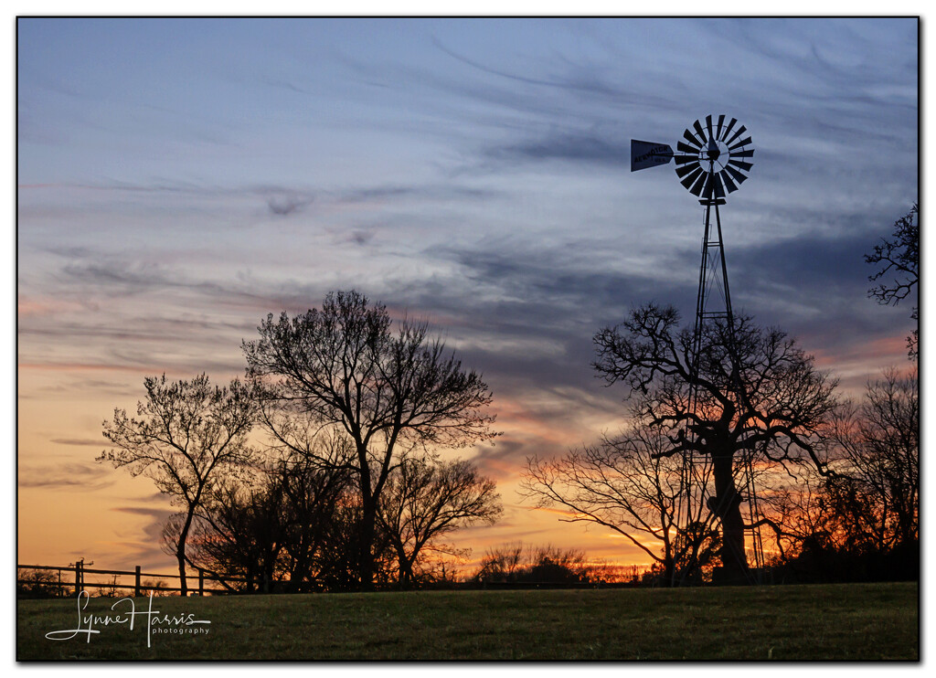 Texas Sunset by lynne5477