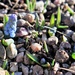Grape Hyacinths arising by sandlily
