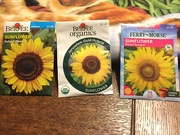 1st Mar 2022 - This year there will be sunflowers