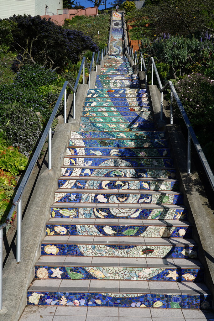 16th Ave Tiled Steps by acolyte
