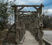7th Mar 2022 - Wooden Bridge