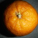 Orange, um, Orange by spanishliz