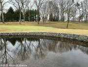 7th Mar 2022 - Golf Course Reflection