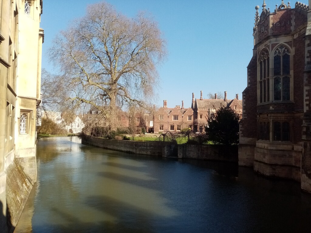From the Bridge of Sighs, Cambridge  by g3xbm