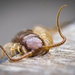 Centipede by dkbarnett