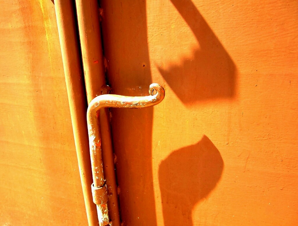 Narančasta dvorišna vrata by vesna0210