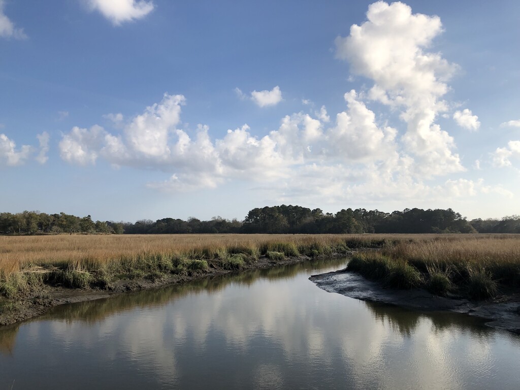 Afternoon marsh sky and tidal creek by congaree