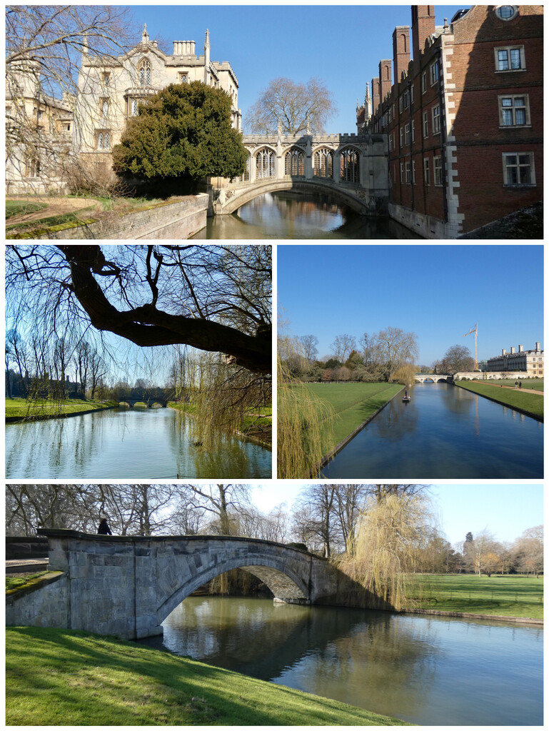 Bridges over the Cam by foxes37
