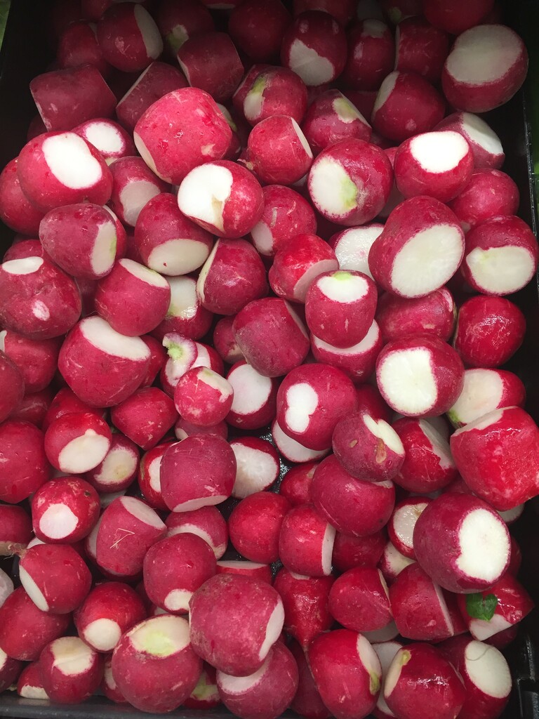 Radishes are red by kchuk